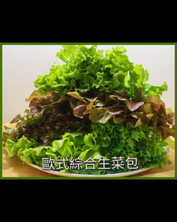 【安全鮮活生菜】全新生活綜合歐式生菜包X14 包裝組合    <優惠免冷藏運費>