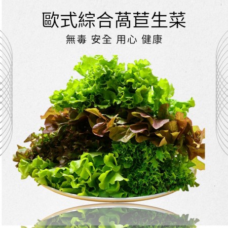 【安全鮮活生菜】全新生活綜合歐式生菜包X 5 包裝組合    <優惠免冷藏運費>
