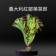 【安全鮮活生菜】全新生活歐式綜合整顆原株生菜 (保鮮期較長) 5包裝組合 (優惠免運中))