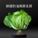 【安全鮮活生菜】全新生活歐式綜合整顆原株生菜 (保鮮期較長) 5包裝組合 (優惠免運中))