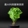 【安全鮮活生菜】全新生活歐式綜合整顆原株生菜 (保鮮期較長) 5包裝組合 (優惠免運中))
